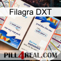 Filagra DXT kamagra1